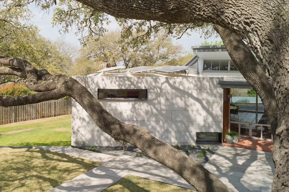 Whitewashed modern home behind a sprawling live oak, with a clipped lawn and stone walkway