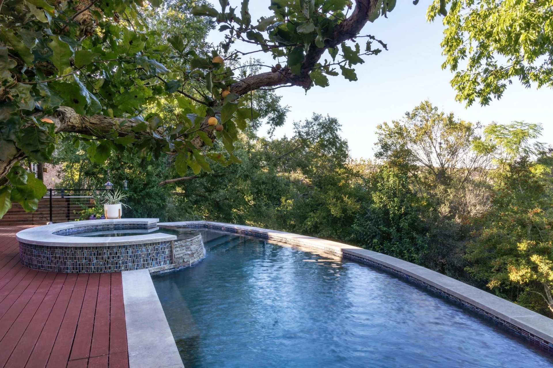 Infinity pool and raised stone spa under a fruiting oak, overlooking dense green Hill Country woods