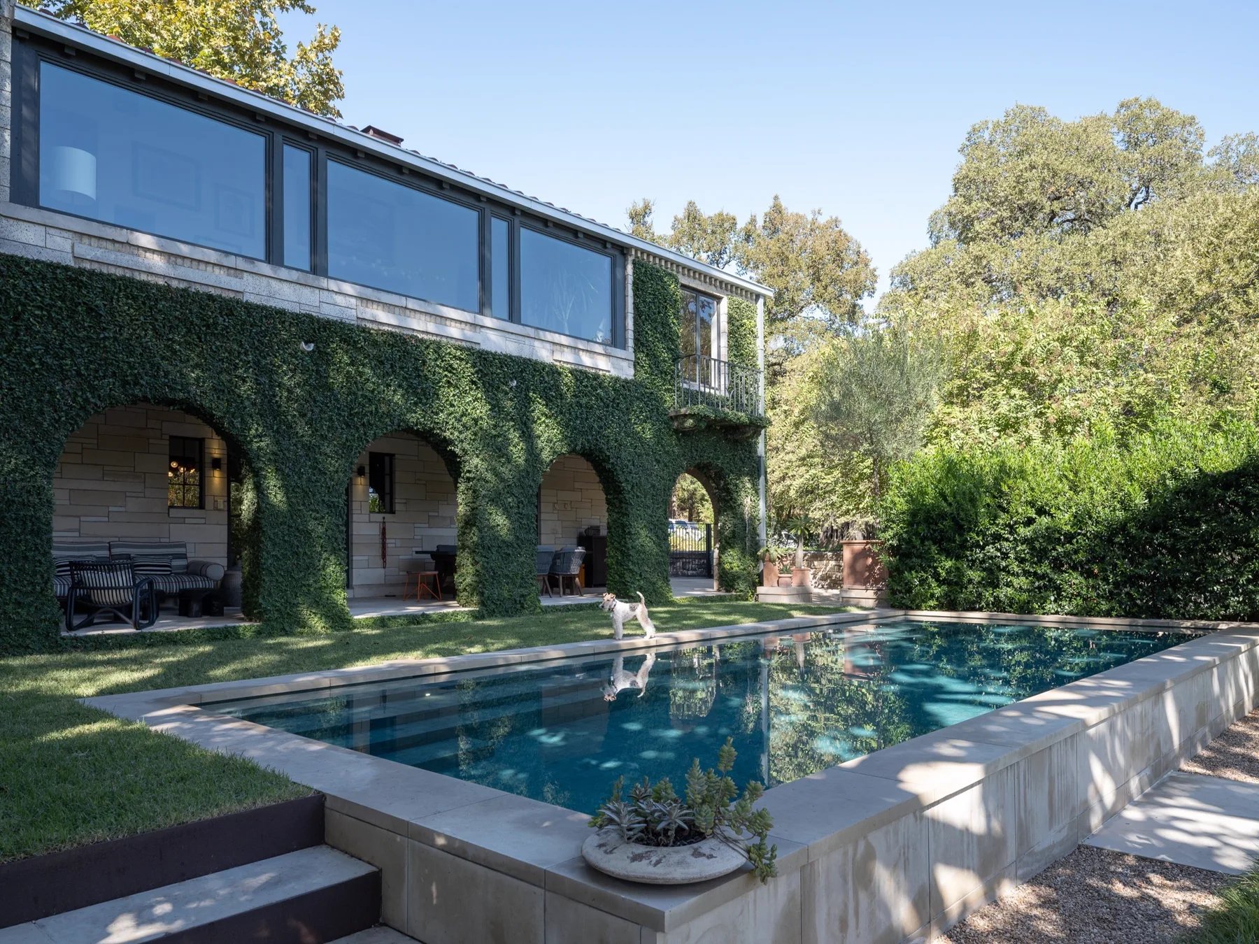 Ideas For Pools In Small Backyards — Modern Pools Austin pool photo 21