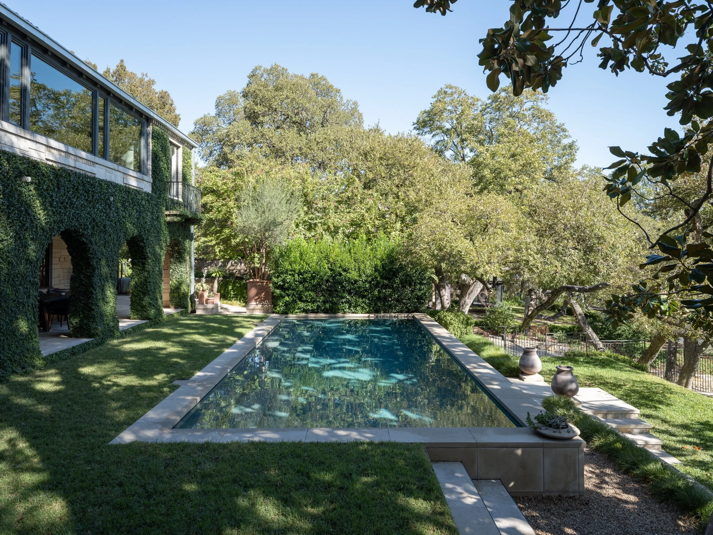 Windsor custom pool by Modern Pools in Austin
